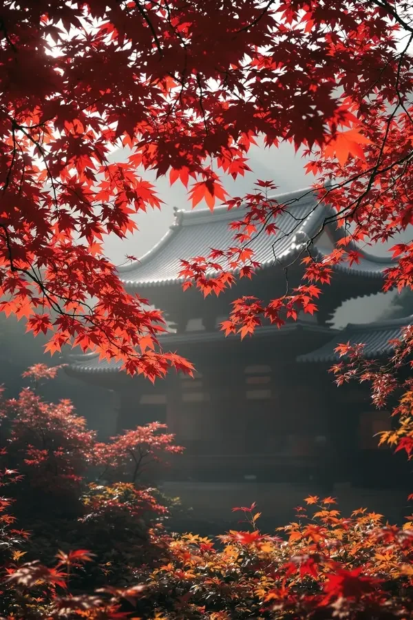 京都红叶季：千年古都的秋日物语